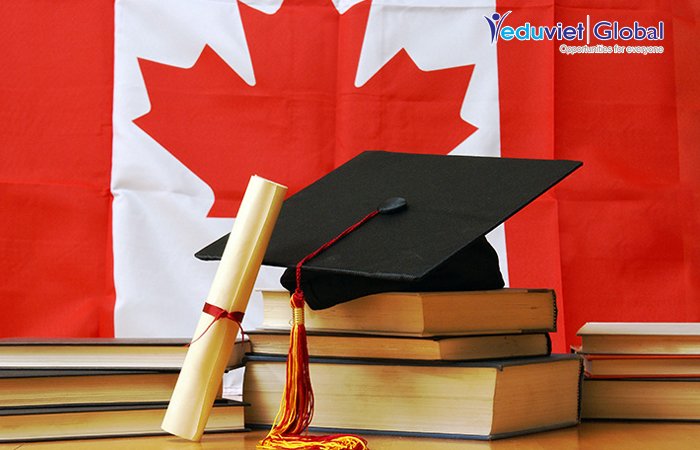 Cần gì để ở lại làm việc tại Canada sau tốt nghiệp?