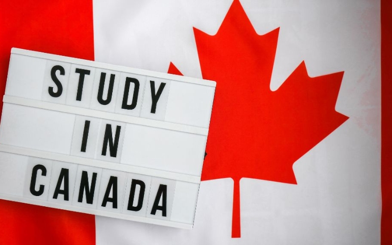 các hình thức du học canada