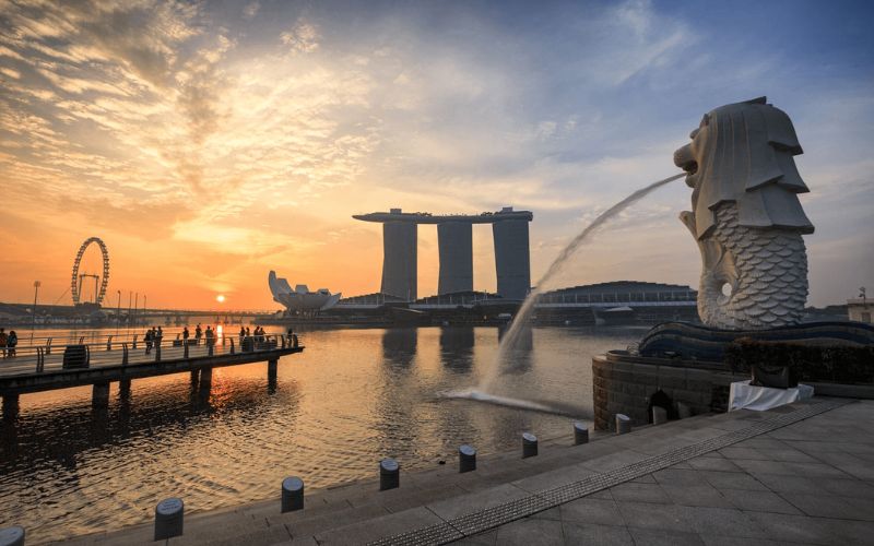 Các ngành học hot khi du học Singapore