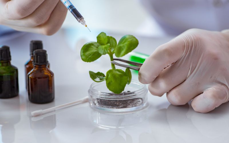 y học hoặc công nghệ sinh học
