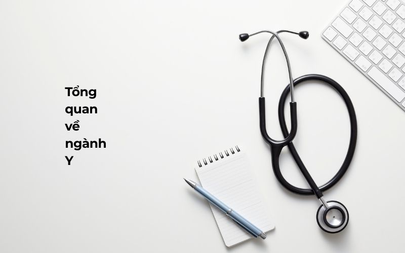 Tổng quan về ngành Y hiện nay