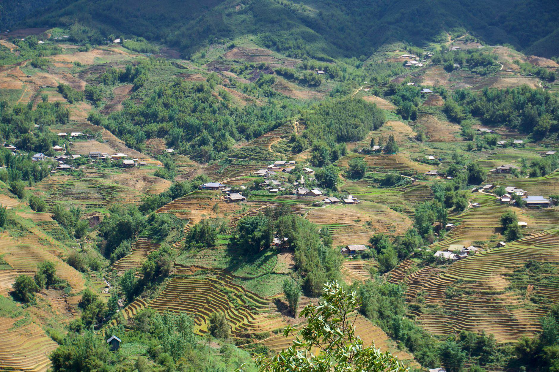 Gợi ý du học sinh tham gia northwest vietnam motorbike tour trong kỳ nghỉ trước khi quay lại du học