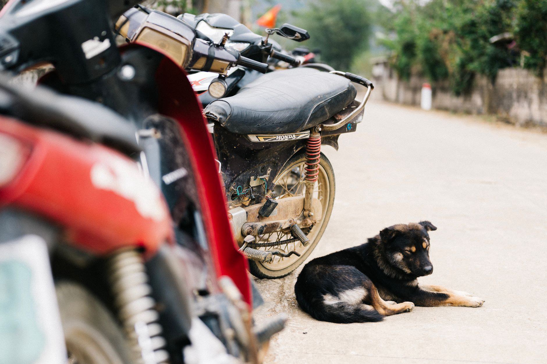 Northwest Vietnam Motorbike Tour Cho Du Học Sinh Về Nước